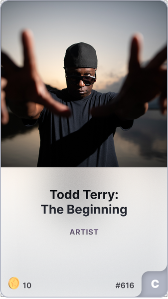 Todd Terry: The Beginning asset